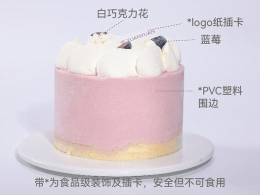 树莓开心果冰淇淋4号 商品图3