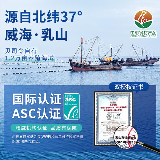 严选 | 贝司令乳山刺身级生蚝 4.5斤/箱 重5-7.5两/只 蚝肉饱满 鲜嫩多汁 送：开蚝三件套（手套+蚝刀+芥末2g） 商品图1
