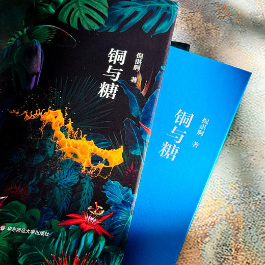 铜与糖 诗人倪湛舸 诗集 皮埃尔和艾琳娜系列 商品图4