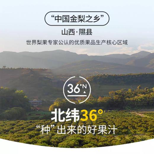 隰县玉露香梨汁 健康饮品 商品图1