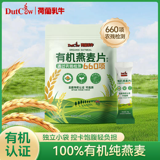 SY【限时专属赠品】荷兰乳牛有机燕麦片450g（30g*15条）*1袋 保质期18个月 商品图0