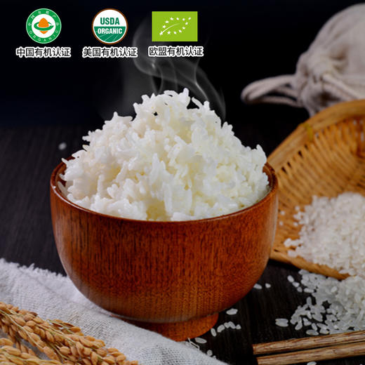 有机胚芽米500g宝宝营养米糊煮粥米欧盟美国中国三重有机认证真空装五谷杂粮 商品图2