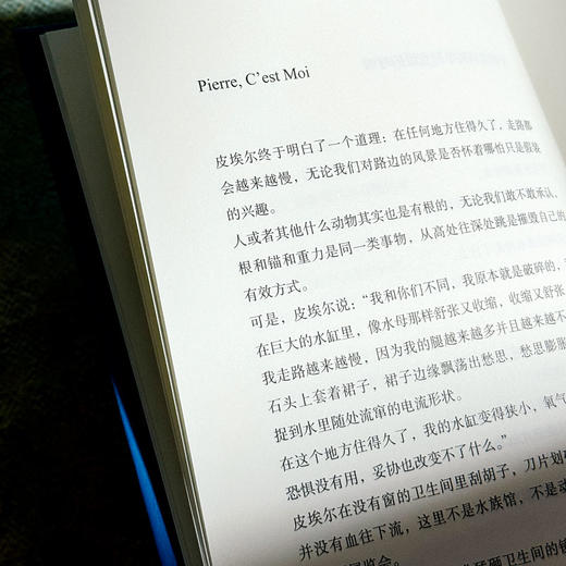 铜与糖 诗人倪湛舸 诗集 皮埃尔和艾琳娜系列 商品图8