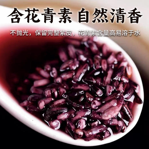  农家新米正宗紫米紫糯米 商品图1