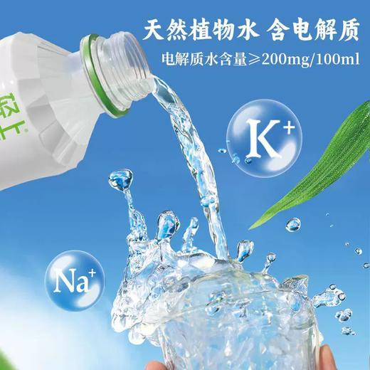 1L轻上椰子水钻石瓶 商品图1
