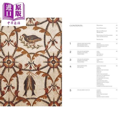 预售 【中商原版】Ancient Roman Villas 进口艺术 古罗马别墅 商品图1