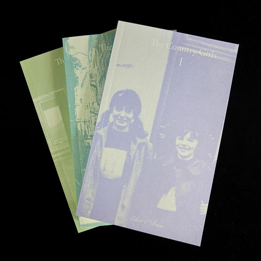 出走 “声名狼藉的”爱尔兰国宝级作家惊世骇俗的出道之作 商品图2