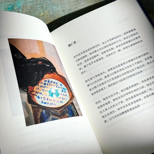 铜与糖 诗人倪湛舸 诗集 皮埃尔和艾琳娜系列 商品图10