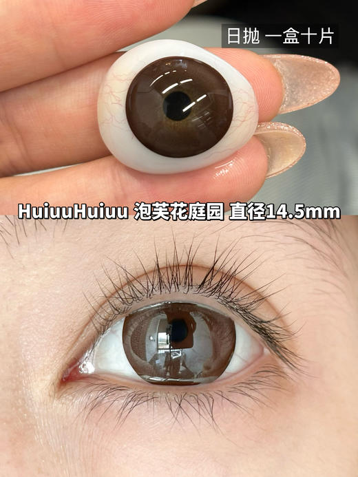 【店主实拍】日抛新品-泡芙花庭园-黑糖珍珠泪-薰衣草露珠-14.5mm【0-800度 无525/575】 商品图5