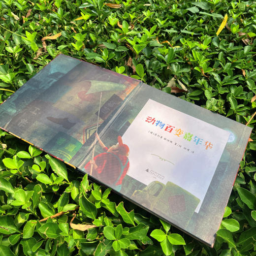 神秘岛 动物百变嘉年华 （德）菲利普·斯坦佩/绘著 动物绘本 想象力启蒙 广西师范大学出版社 商品图7