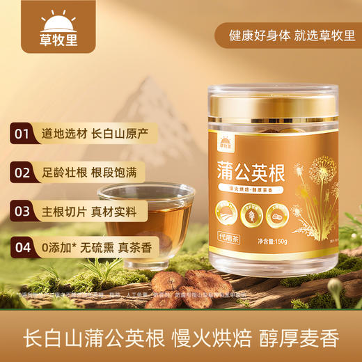 【颗粒饱满】草牧里 蒲公英根 150g/罐 慢火烘焙醇厚麦香 商品图0