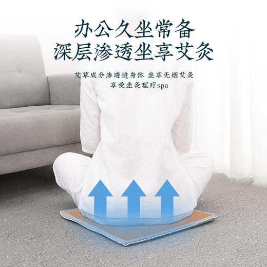 少艾堂艾草养生凉感坐垫 | 艾草填充 久坐不易闷热 舒适透气 多场景适用 商品图0