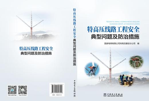 特高压线路工程安全典型问题及防治措施 商品图2