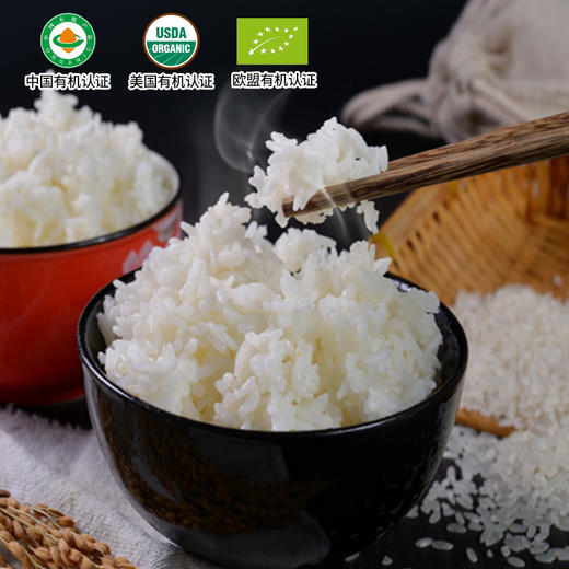 有机胚芽米500g宝宝营养米糊煮粥米欧盟美国中国三重有机认证真空装五谷杂粮 商品图4