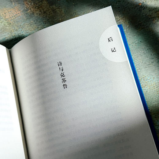 铜与糖 诗人倪湛舸 诗集 皮埃尔和艾琳娜系列 商品图12