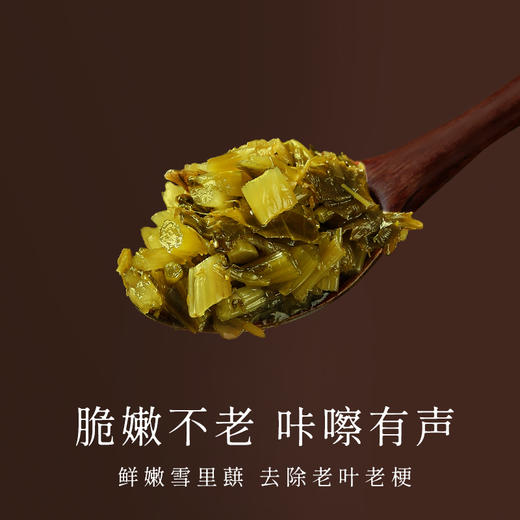 鄞州雪菜下饭菜咸菜酱腌菜罐装雪里蕻榨菜鲜嫩脆爽酸菜雪菜 商品图1