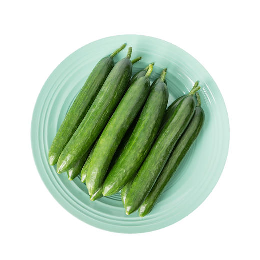 【宁夏好物】三个零水果黄瓜  2斤/3斤 商品图4