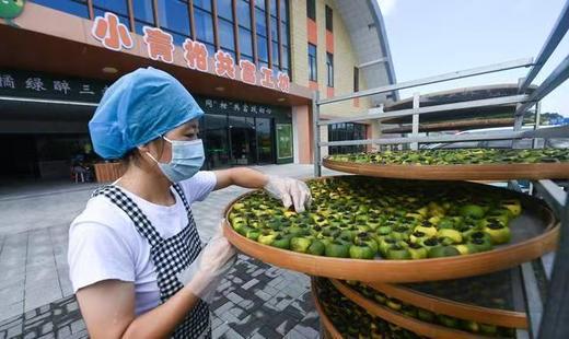 建德三都共富工坊“小青柑”茶/三年陈皮 适合夏天 商品图5