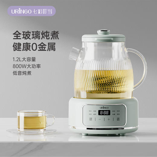 七彩叮当新款养生壶多功能家用小型办公室全玻璃煮茶器烧水花茶壶 B9001-L 滤网款 1.2L 商品图0