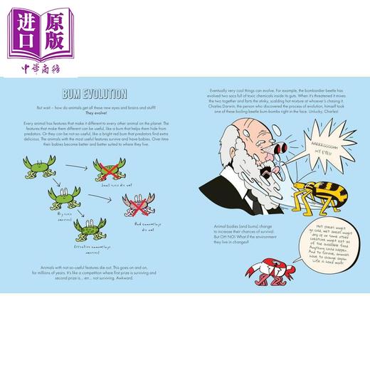 【中商原版】屁股的自然史 A Natural History Of Bums The Story Of Evolution From Your Bum To Beyond 英文原版 科普读物 商品图3