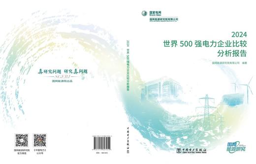 世界500强电力企业比较分析报告 2024 商品图2