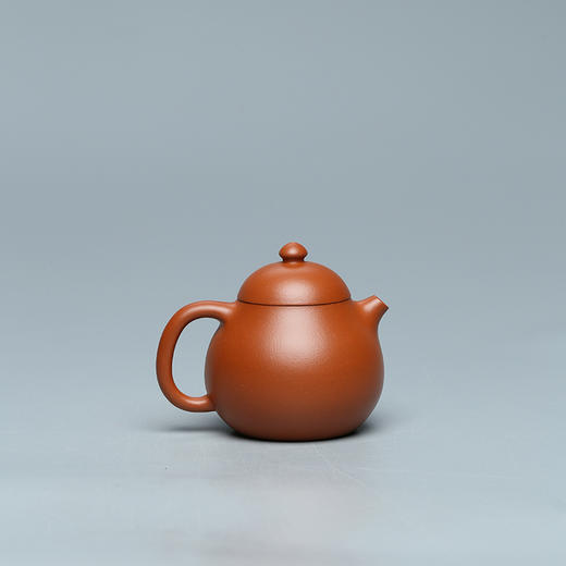 百年紫砂品牌铁画轩出品 小煤窑朱泥 文旦壶紫砂壶160ml 商品图1
