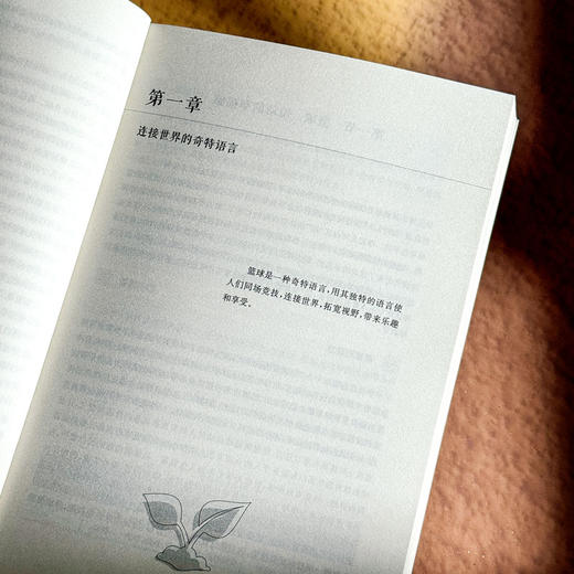 体育 让儿童嗨起来 悦动体育课程的设计与实施 课程治理现代化丛书 商品图7