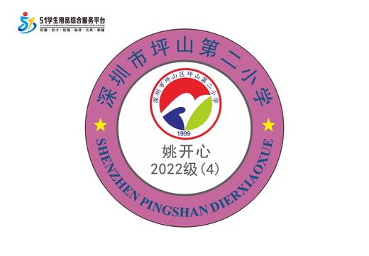 定制深圳市坪山区坪山第二小学熨烫校徽布标姓名贴胸章缝制包邮51 商品图4