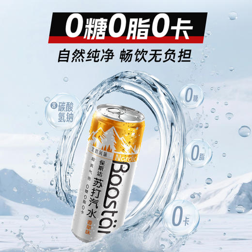 保斯达 香草味苏打水纤体罐330ml*24罐北欧风味气泡丰盈口感清爽 商品图2