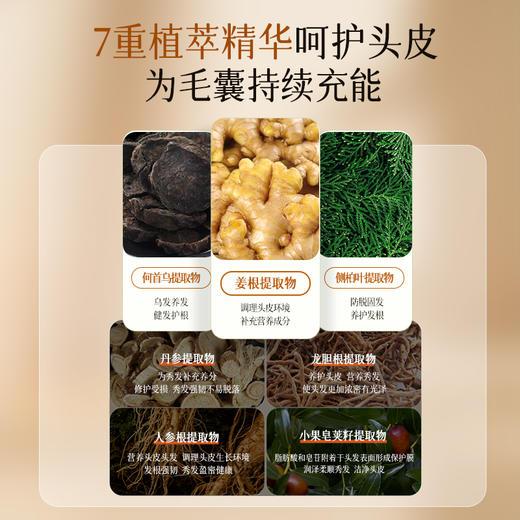 【3瓶装】卓蓝雅生姜防脱固发头皮精华液（生姜9号）ZT-1 商品图6