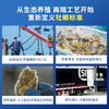 严选 | 贝司令乳山刺身级生蚝 4.5斤/箱 重5-7.5两/只 蚝肉饱满 鲜嫩多汁 送：开蚝三件套（手套+蚝刀+芥末2g） 商品缩略图2