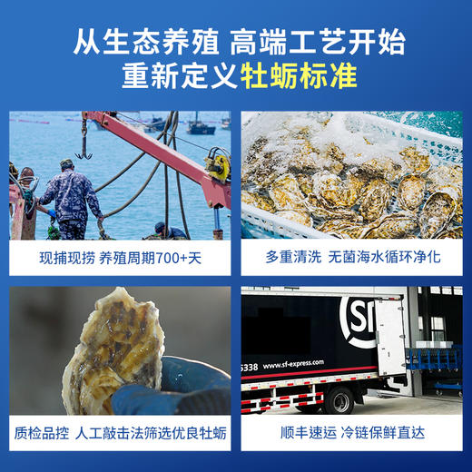 严选 | 贝司令乳山刺身级生蚝 4.5斤/箱 重5-7.5两/只 蚝肉饱满 鲜嫩多汁 送：开蚝三件套（手套+蚝刀+芥末2g） 商品图2