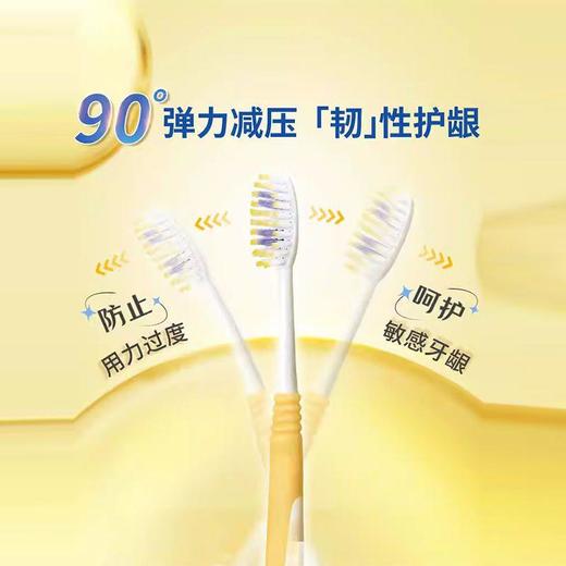 狮王细齿洁弹力护龈牙刷三支装 特惠装超弹性手柄3支装*2套 商品图1
