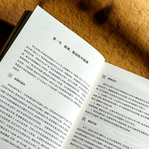 体育 让儿童嗨起来 悦动体育课程的设计与实施 课程治理现代化丛书 商品图8