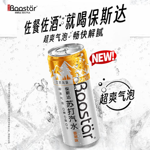 保斯达 香草味苏打水纤体罐330ml*24罐北欧风味气泡丰盈口感清爽 商品图0