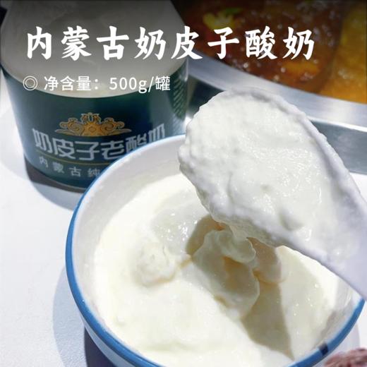 内蒙古奶皮子酸奶 | 酸奶家族重磅升级! 创新融合浓厚奶香与0弹奶皮 100%生牛乳发酵 配料干净 内蒙直发 下单现做 商品图0