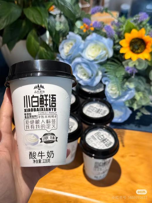 【乍甸牛奶】乍甸小白鲜语酸牛奶（配送前24小时内拒绝退货，仅每周五12：00-18：00配送，介意勿拍） 商品图1