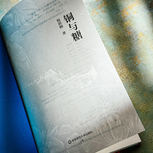 铜与糖 诗人倪湛舸 诗集 皮埃尔和艾琳娜系列 商品图5