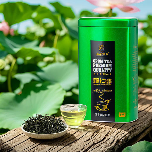 【尚品德茗-正】英德绿茶-鸿雁十二号绿茶 商品图1