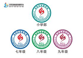 定制深圳市龙岗区实验学校熨烫校徽礼服布标姓名贴胸章缝制包邮51