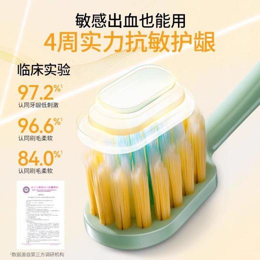 狮王宽头牙刷2支装细齿洁宽薄牙刷61孔宽头成人软毛牙刷家庭装懒人牙刷 商品图4