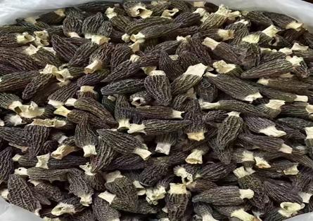 生态羊肚菌（干）|菌体饱满 肉质厚实 色泽自然 干品复水率高 商品图2