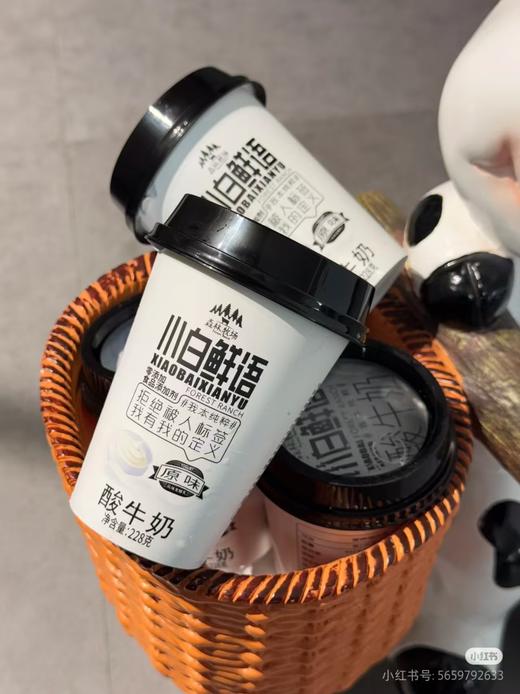 【乍甸牛奶】乍甸小白鲜语酸牛奶（配送前24小时内拒绝退货，仅每周五12：00-18：00配送，介意勿拍） 商品图2