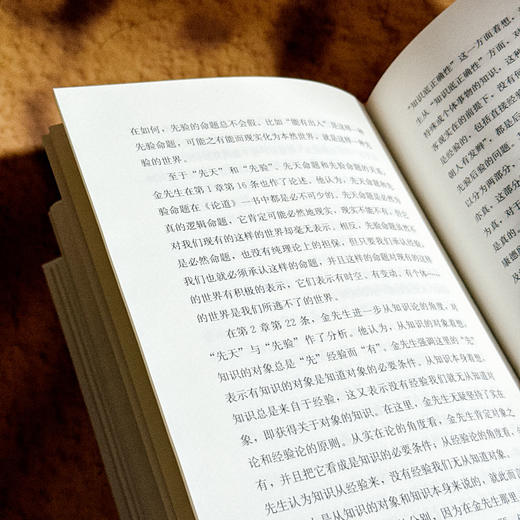 冯契讲金岳霖哲学 中国哲学 逻辑学 形而上学 商品图13