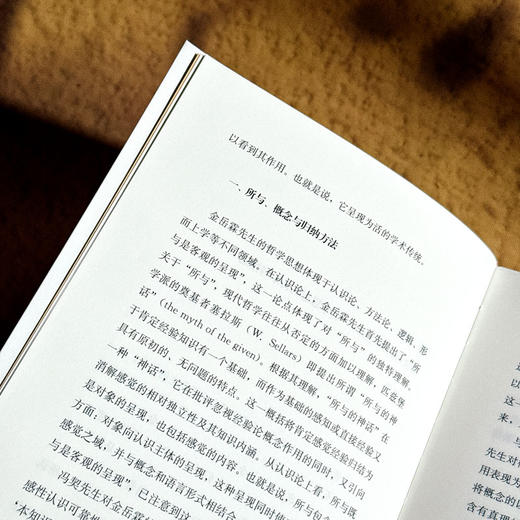 冯契讲金岳霖哲学 中国哲学 逻辑学 形而上学 商品图7