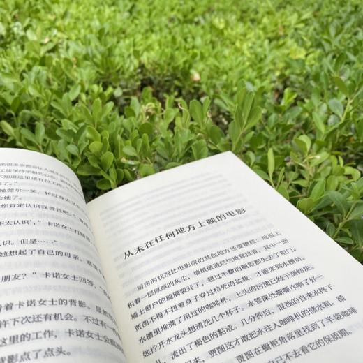 神秘岛·文学海岸线 回忆电影院 （荷）约里克·戈德韦克/著 儿童小说 成长 疗愈 穿越时空 广西师范大学出版社 商品图8