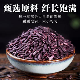  农家新米正宗紫米紫糯米