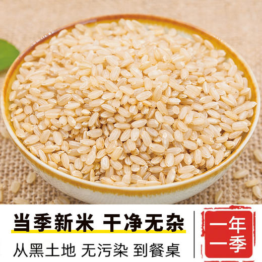 农家自种糙米五谷杂粮粗粮 商品图1