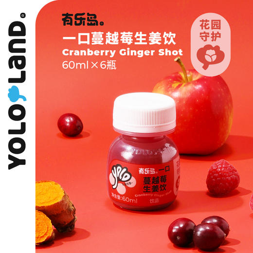 有乐岛/一口蔓越莓生姜饮 约300颗蔓越莓生榨红色莓果力量 商品图0
