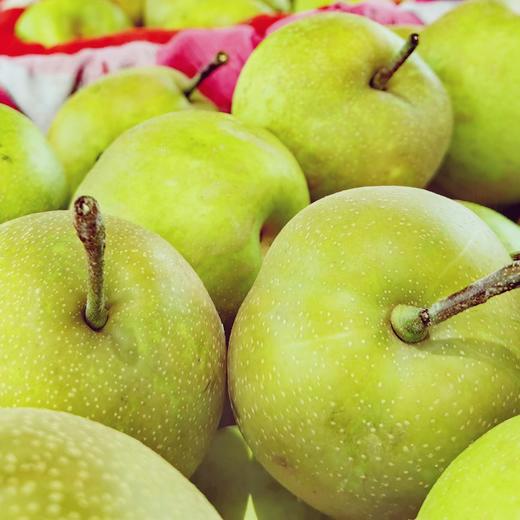 湖北翠冠梨4.5斤中果（商） 商品图4